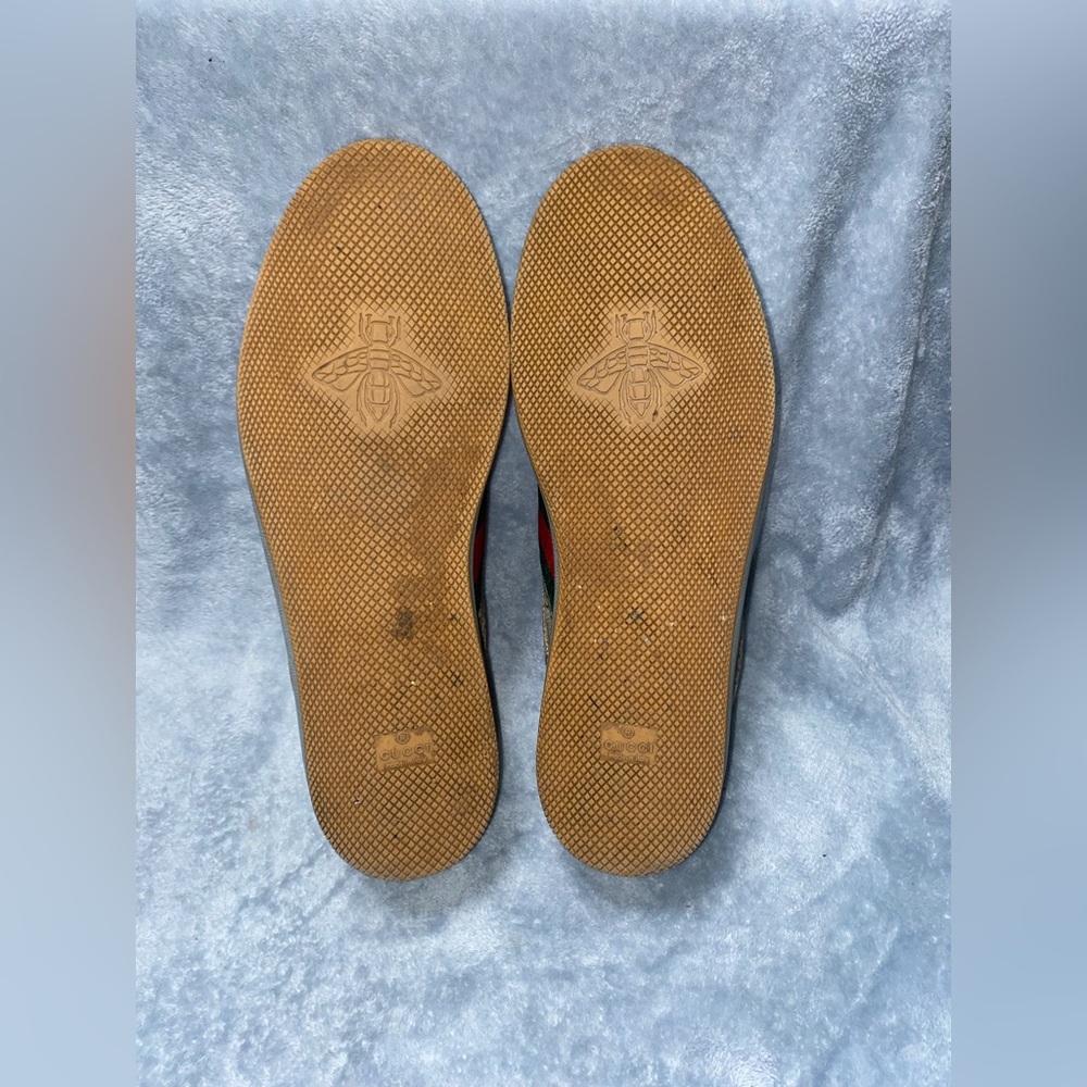 Screener GG Supreme Canvas Sneakers - Picture 5 of 16